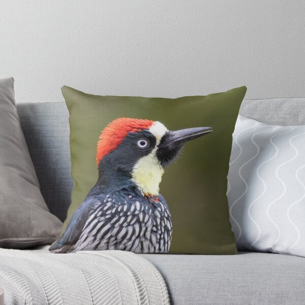 Item preview, Acorn Woodpecker designed and sold by smacdonn.