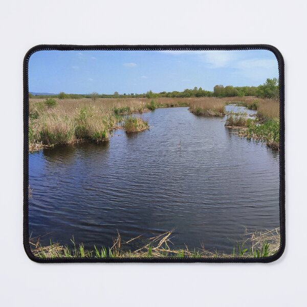 Item preview, Westhay Nature Reserve, Somerset Levels, England designed and sold by JonDelorme.