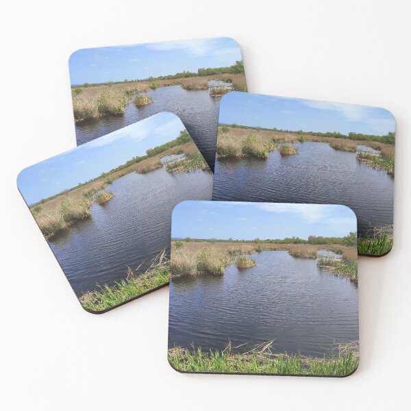 Item preview, Westhay Nature Reserve, Somerset Levels, England designed and sold by JonDelorme.