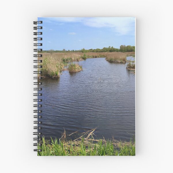 Item preview, Westhay Nature Reserve, Somerset Levels, England designed and sold by JonDelorme.