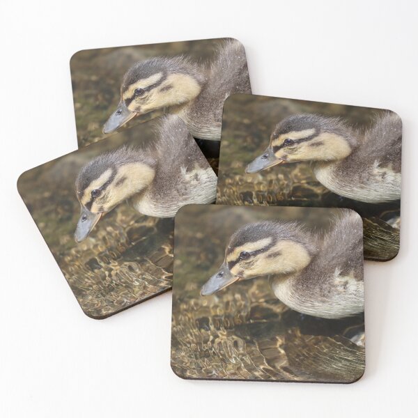 Item preview, Mallard duckling designed and sold by GreyFeatherPhot.