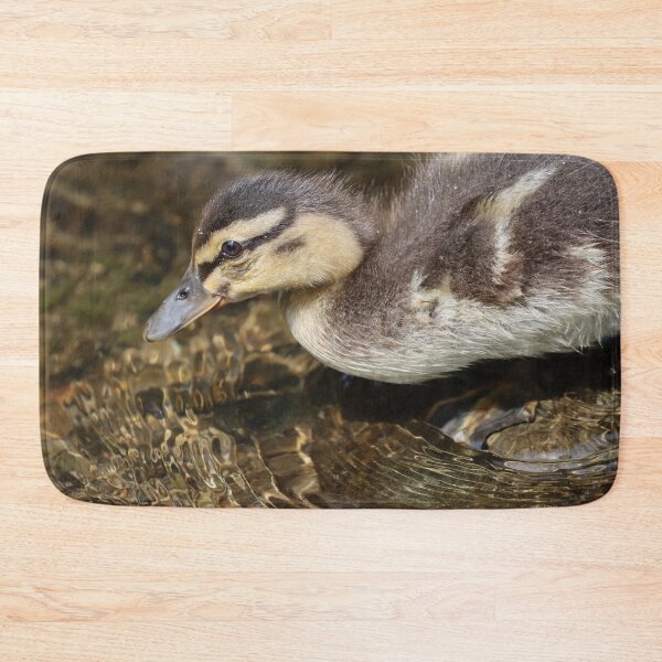 Item preview, Mallard duckling designed and sold by GreyFeatherPhot.