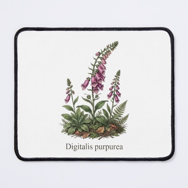 Item preview, Digitalis Purpurea Foxglove Vintage Botanical Illustration designed and sold by Sekla-Studio.