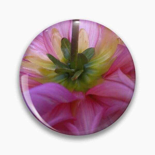 Item preview, Pink Dahlia Back View, Macro Botanical Photography designed and sold by PrettyAround.