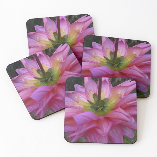 Item preview, Pink Dahlia Back View, Macro Botanical Photography designed and sold by PrettyAround.