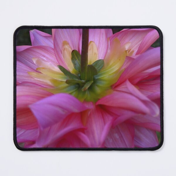 Item preview, Pink Dahlia Back View, Macro Botanical Photography designed and sold by PrettyAround.