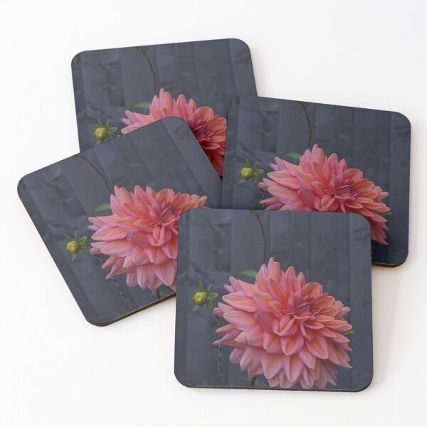 Item preview, Sunset Negroni Dahlia in Bloom, Macro Garden Photography designed and sold by PrettyAround.