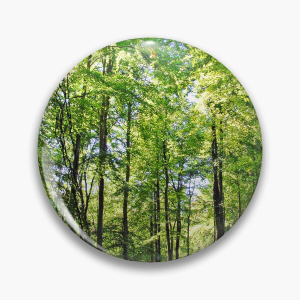 Item preview, Blackwood Forest Micheldever Hampshire designed and sold by AndyEvansPhotos.