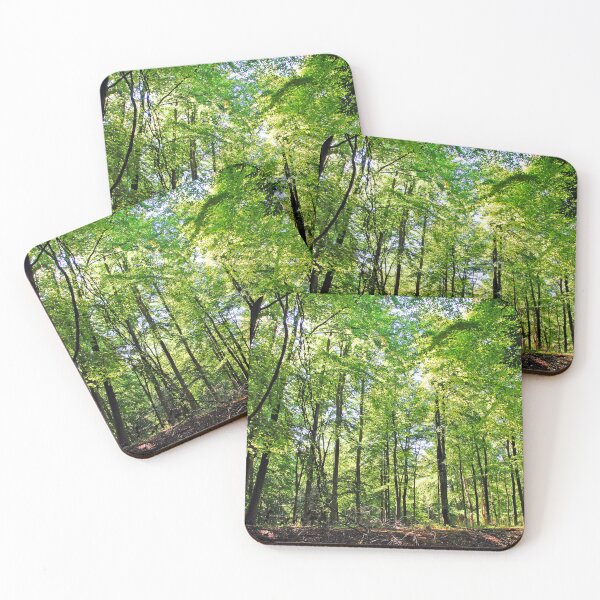Item preview, Blackwood Forest Micheldever Hampshire designed and sold by AndyEvansPhotos.
