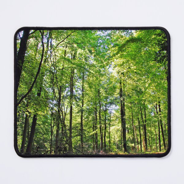 Item preview, Blackwood Forest Micheldever Hampshire designed and sold by AndyEvansPhotos.