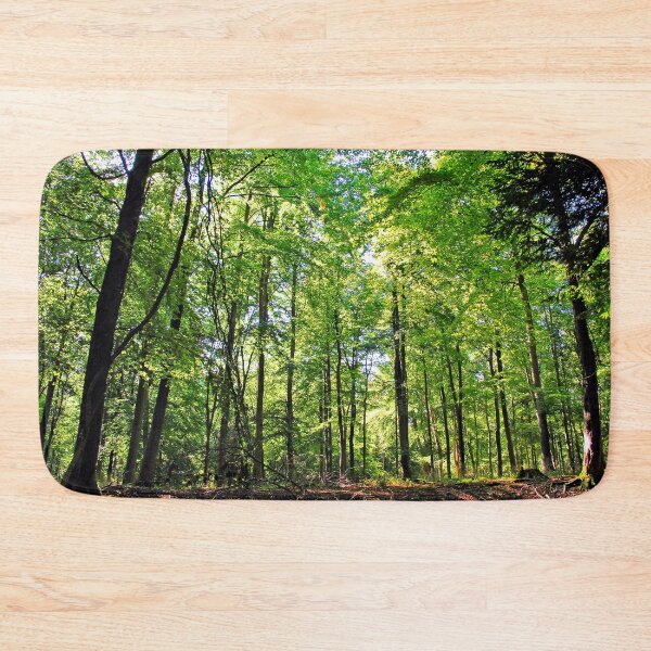 Item preview, Blackwood Forest Micheldever Hampshire designed and sold by AndyEvansPhotos.