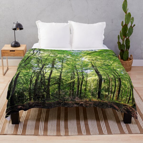Item preview, Blackwood Forest Micheldever Hampshire designed and sold by AndyEvansPhotos.