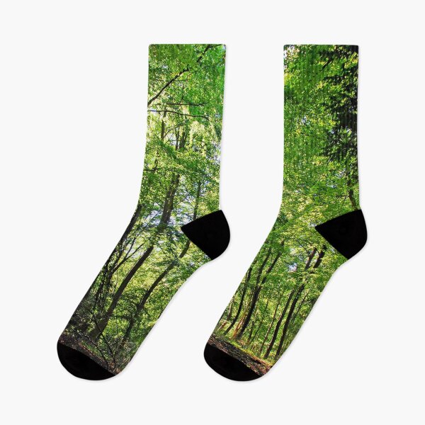 Item preview, Blackwood Forest Micheldever Hampshire designed and sold by AndyEvansPhotos.
