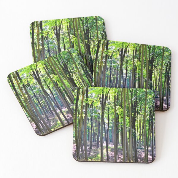 Item preview, Blackwood Forest Micheldever Hampshire designed and sold by AndyEvansPhotos.
