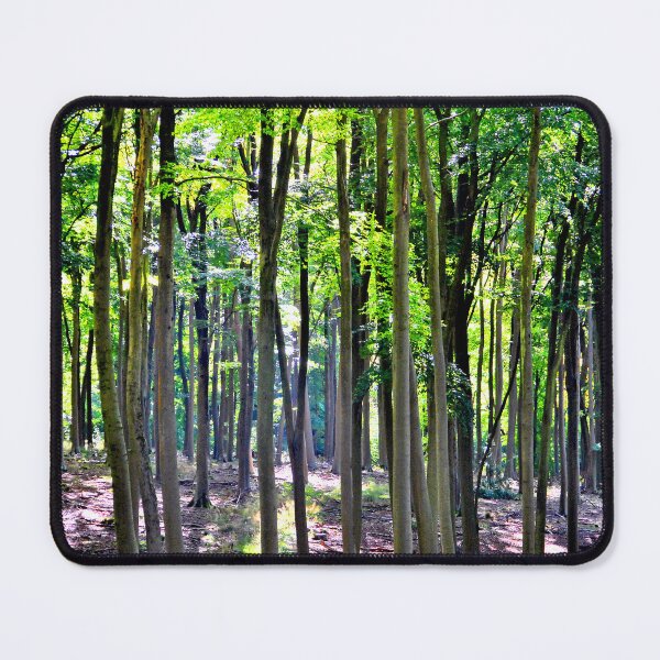 Item preview, Blackwood Forest Micheldever Hampshire designed and sold by AndyEvansPhotos.