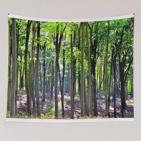 Item preview, Blackwood Forest Micheldever Hampshire designed and sold by AndyEvansPhotos.