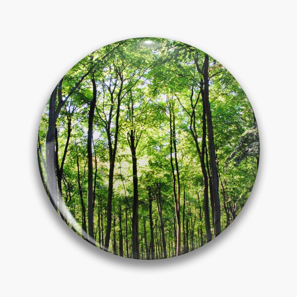 Item preview, Blackwood Forest Micheldever Hampshire designed and sold by AndyEvansPhotos.