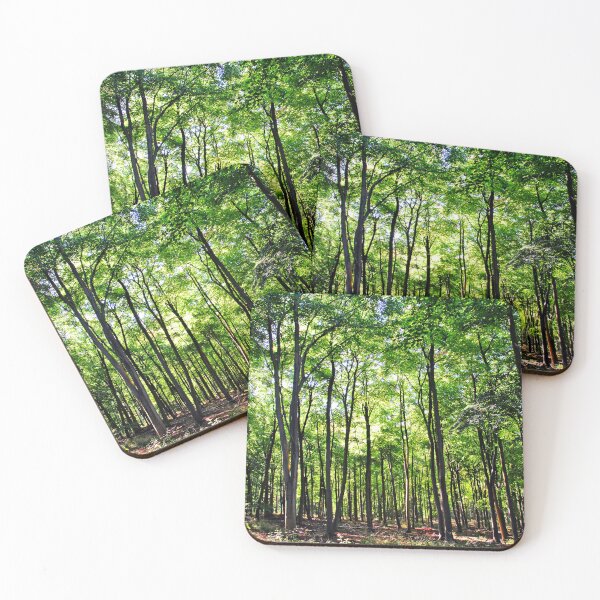 Item preview, Blackwood Forest Micheldever Hampshire designed and sold by AndyEvansPhotos.