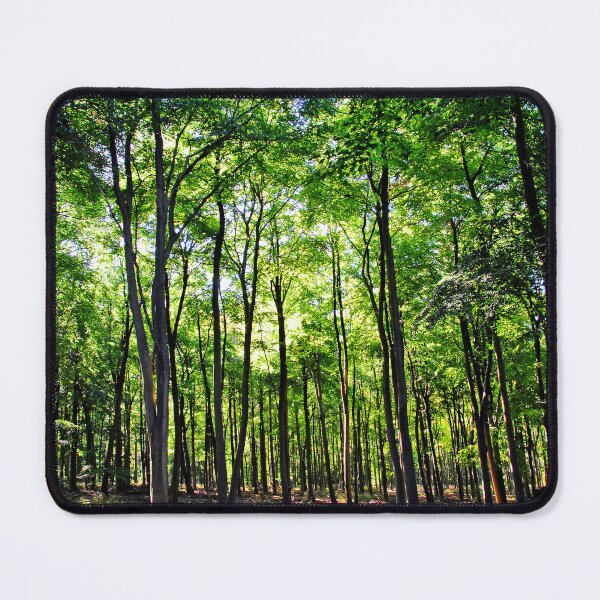 Item preview, Blackwood Forest Micheldever Hampshire designed and sold by AndyEvansPhotos.