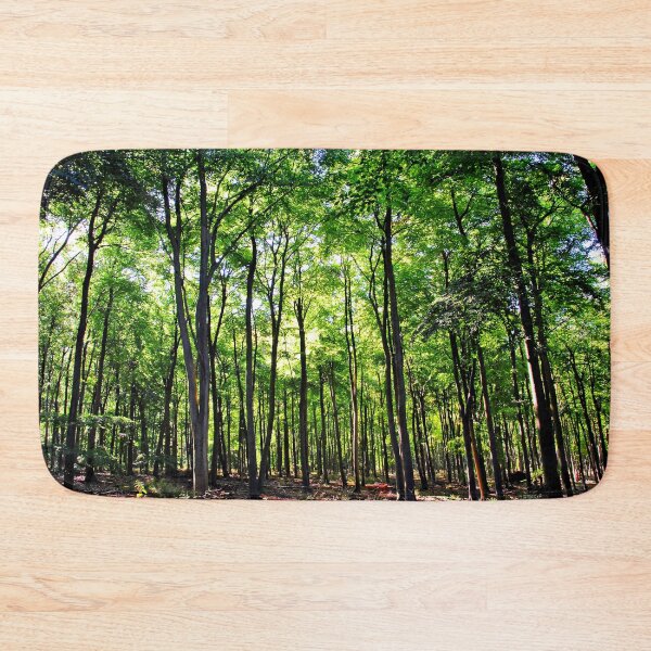 Item preview, Blackwood Forest Micheldever Hampshire designed and sold by AndyEvansPhotos.