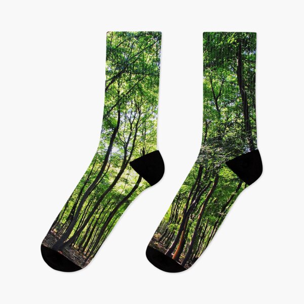 Item preview, Blackwood Forest Micheldever Hampshire designed and sold by AndyEvansPhotos.