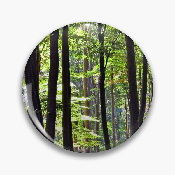 Item preview, Blackwood Forest Micheldever Hampshire designed and sold by AndyEvansPhotos.
