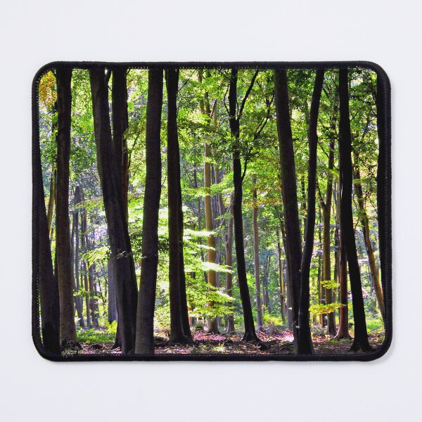 Item preview, Blackwood Forest Micheldever Hampshire designed and sold by AndyEvansPhotos.
