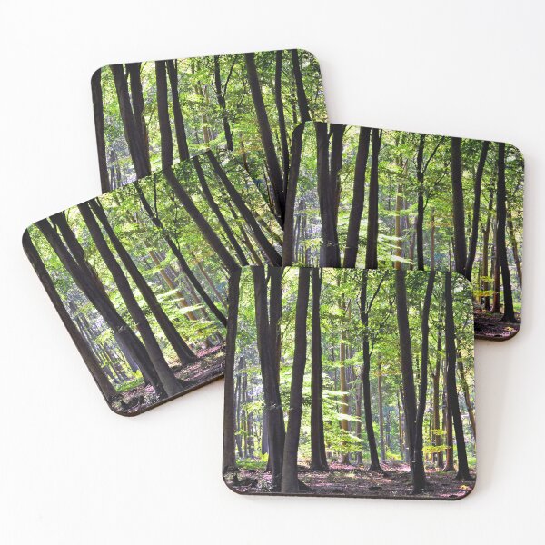 Item preview, Blackwood Forest Micheldever Hampshire designed and sold by AndyEvansPhotos.