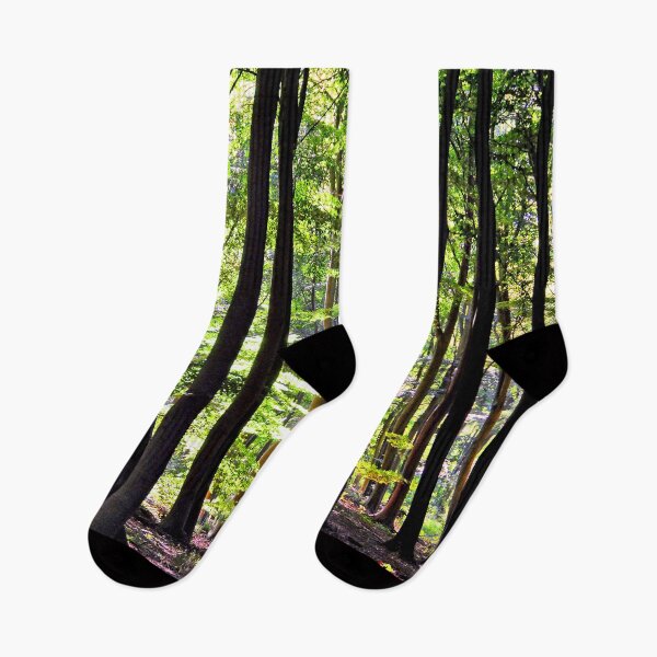 Item preview, Blackwood Forest Micheldever Hampshire designed and sold by AndyEvansPhotos.