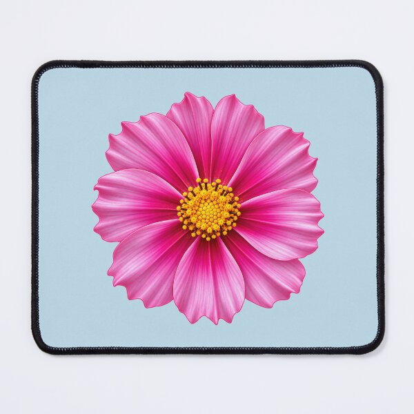 Item preview, Vibrant Pink Cosmos Flower – Cosmos Bipinnatus Botanical Art designed and sold by HO•Designs.
