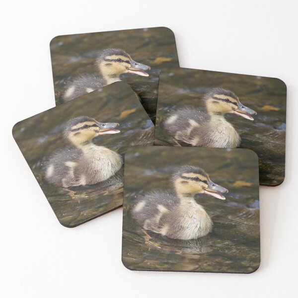 Item preview, Mallard duckling II designed and sold by GreyFeatherPhot.