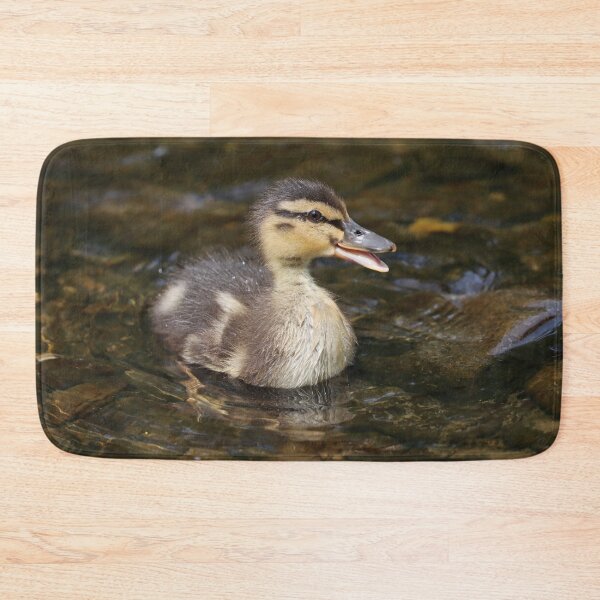 Item preview, Mallard duckling II designed and sold by GreyFeatherPhot.