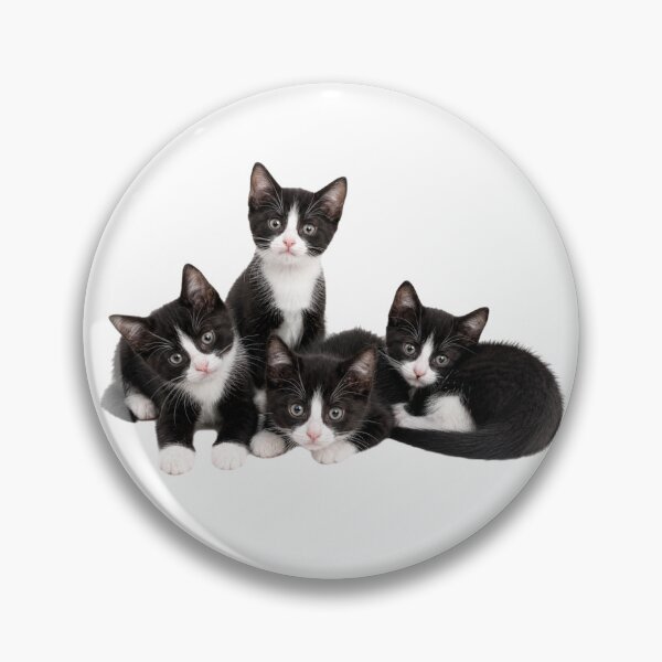 Item preview, A beautiful litter of Tuxedo Kittens designed and sold by GoodPlaceToShop.