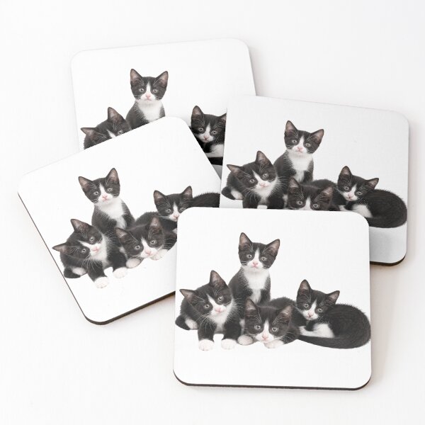 Item preview, A beautiful litter of Tuxedo Kittens designed and sold by GoodPlaceToShop.