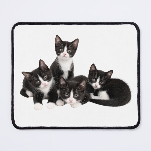 Item preview, A beautiful litter of Tuxedo Kittens designed and sold by GoodPlaceToShop.