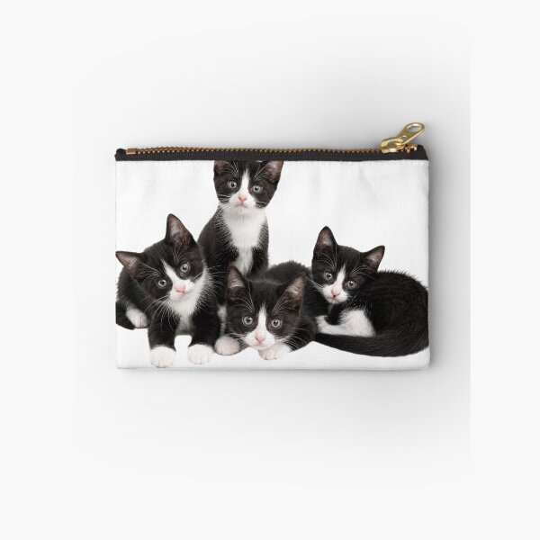 Item preview, A beautiful litter of Tuxedo Kittens designed and sold by GoodPlaceToShop.
