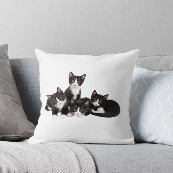 Aperçu de l'œuvre Une magnifique portée de chatons tuxedo créée et vendue par GoodPlaceToShop.