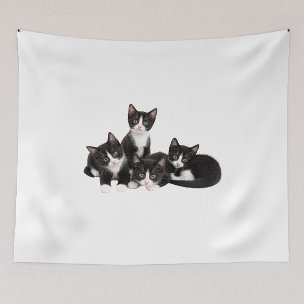 Item preview, A beautiful litter of Tuxedo Kittens designed and sold by GoodPlaceToShop.