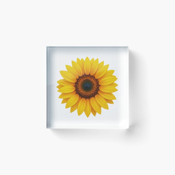 Item preview, Vibrant Sunflower Oil Painting Texture Bright Yellow Floral designed and sold by SmallDart Creations.