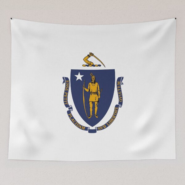 Item preview, Massachusetts Circle Flag Moving Away Gift, Homesick MA Present designed and sold by shitpostee.