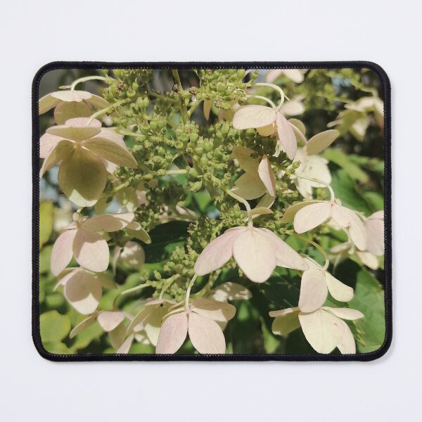 Item preview, Green Hydrangea Flowers In Garden designed and sold by PhuongVoArt.