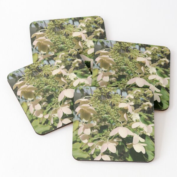 Item preview, Green Hydrangea Flowers In Garden designed and sold by PhuongVoArt.