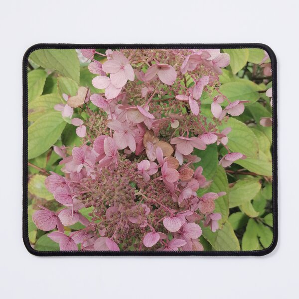 Item preview, Pink Hydrangea Flowers in Bloom designed and sold by PhuongVoArt.