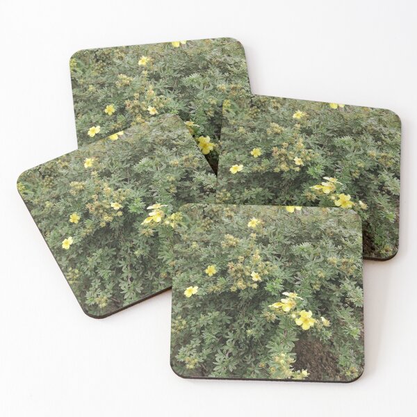 Item preview, Yellow Potentilla Flowers in Garden designed and sold by PhuongVoArt.