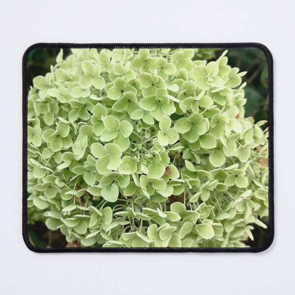 Item preview, Green Hydrangea Flowers In Bloom designed and sold by PhuongVoArt.