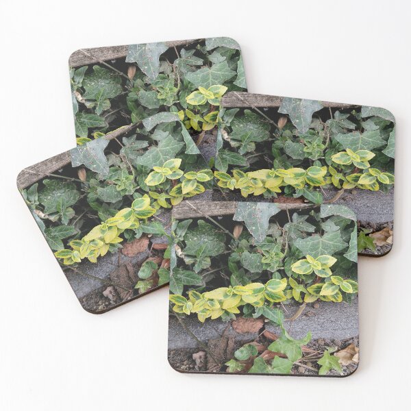 Item preview, Variegated Green Yellow Garden Foliage designed and sold by PhuongVoArt.