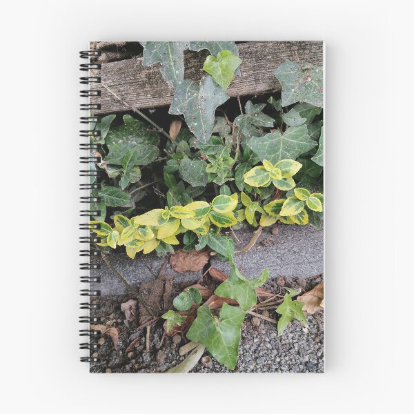 Item preview, Variegated Green Yellow Garden Foliage designed and sold by PhuongVoArt.