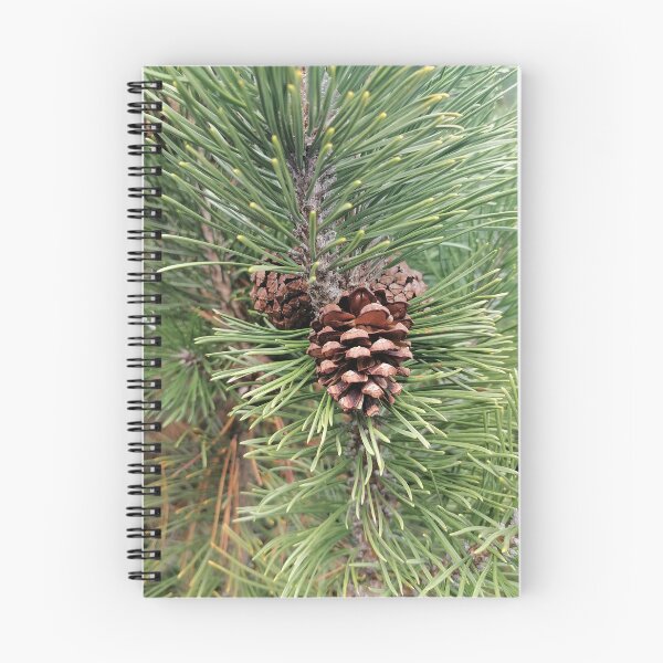 Item preview, Pine Cone Among Evergreen Needles designed and sold by PhuongVoArt.