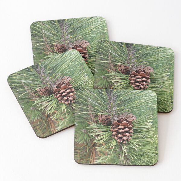 Item preview, Pine Cone Among Evergreen Needles designed and sold by PhuongVoArt.
