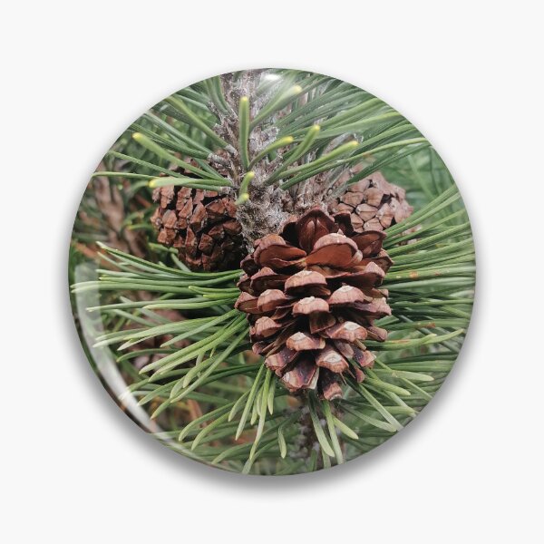 Item preview, Pine Cone Among Evergreen Needles designed and sold by PhuongVoArt.